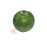 Winter Melon